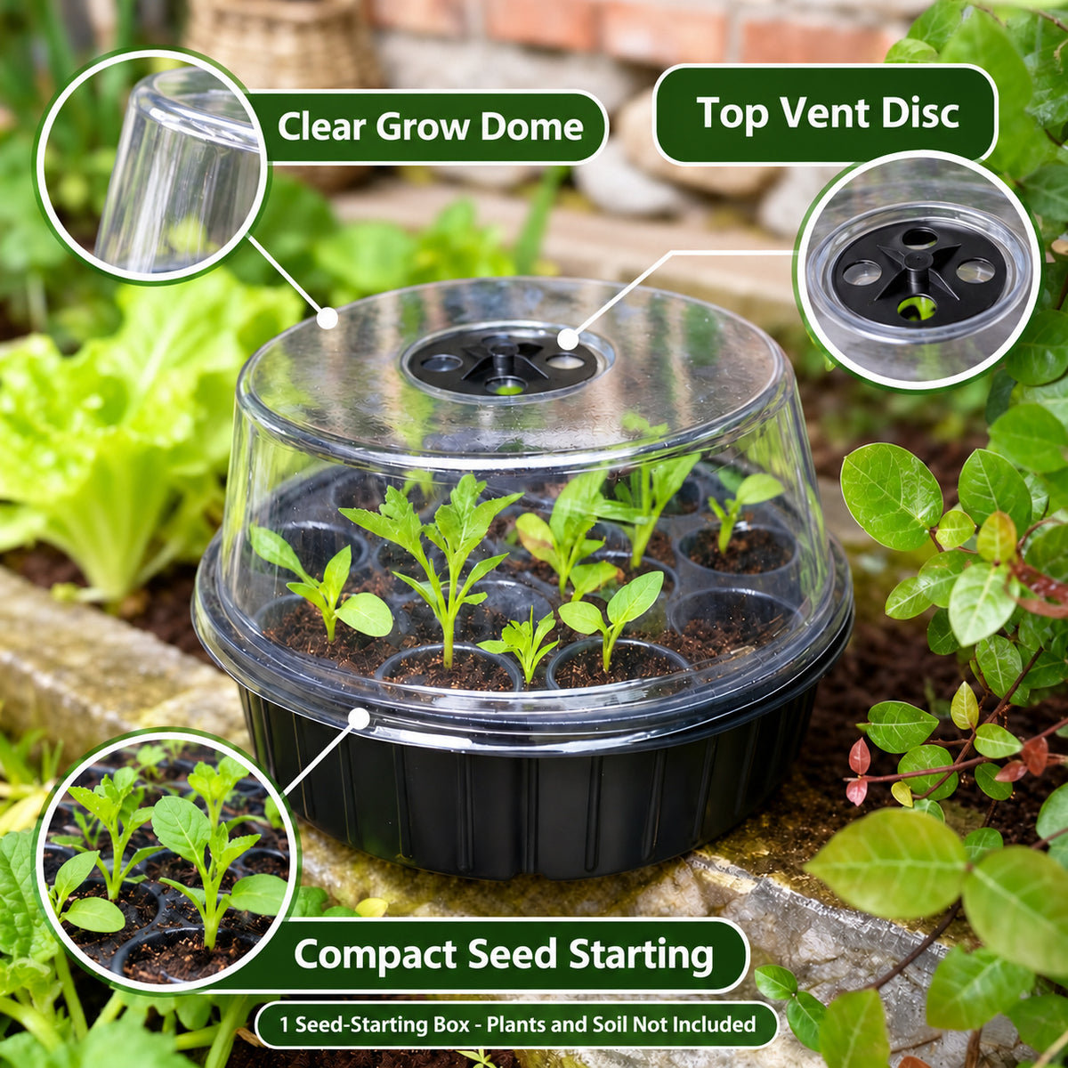 Round 13-Cell Seed-Starting Box with Clear Vented Lid, Black - Black / 21 x 21 x 14 cm / 13 Cells / One Box - feature