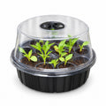 Round 13-Cell Seed-Starting Box with Clear Vented Lid, Black - Black / 21 x 21 x 14 cm / 13 Cells / One Box - main