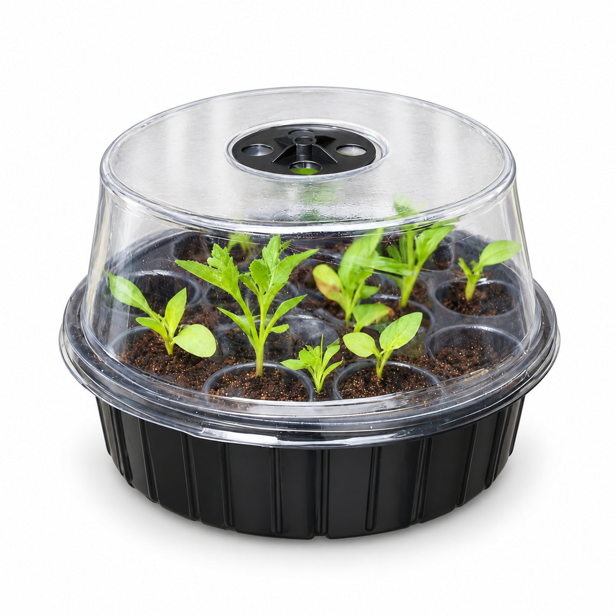 Round 13-Cell Seed-Starting Box with Clear Vented Lid, Black - Black / 21 x 21 x 14 cm / 13 Cells / One Box - main