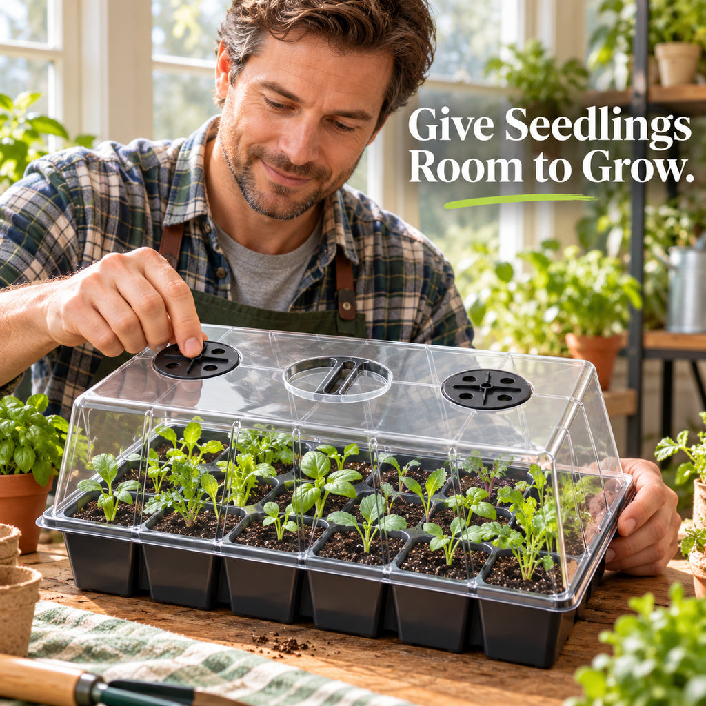 Black 24-Cell Seed Starting Box with Tall Clear Dome - Black / 24 Cells / Tall Dome / 1 Set - lifestyle
