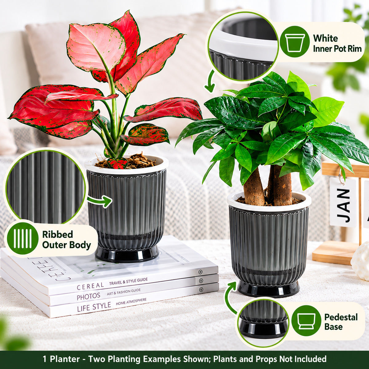Ribbed Desktop Planter, 108# Transparent Gray, One Planter - 108# PET Lotus Planter / Transparent Gray / One Planter - feature