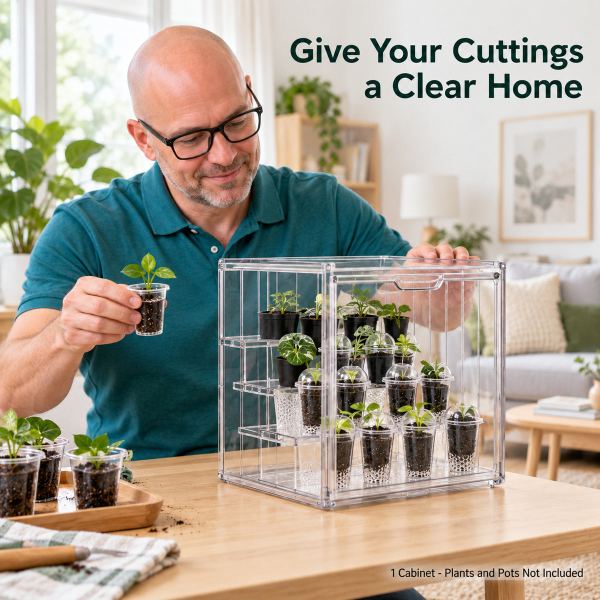 Clear PET Plant Display Cabinet with Three Partitions, Single Unit - 1085 / Three Partitions / Clear PET / Single Cabinet - lifestyle