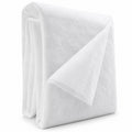 White Garden Plant-Cover Sheet, 2 x 5 m, One Sheet - Plant Cover-201 / White / 2 x 5 m / One Cloth Sheet - main
